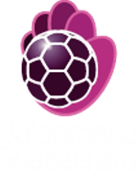 bmguadalajara logo